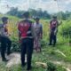 Polisi Lakukan Patroli Tanam Jagung di Dusun Kelebut untuk Dukung Swasembada Pangan