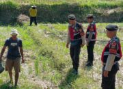 Polres Lombok Barat Dukung Ketahanan Pangan Lewat Patroli Humanis di Desa Kuripan