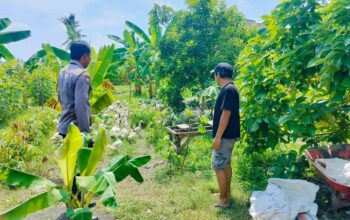 Polsek Labuapi Dorong Warga Desa Bajur Tanam Sayur di Pekarangan