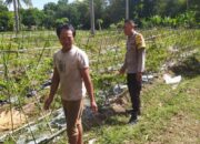 Polsek Sekotong Ajak Petani Berdayakan Lahan Produktif di Dusun Berambang