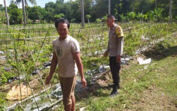 Polsek Sekotong Ajak Petani Berdayakan Lahan Produktif di Dusun Berambang