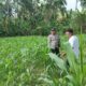 Sinergi Polri dan Petani di Sekotong: Kunci Ketahanan Pangan dari Desa