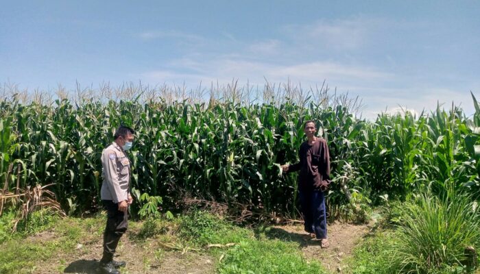 Bhabinkamtibmas Jagaraga Ajak Warga Manfaatkan Lahan untuk Ketahanan Pangan