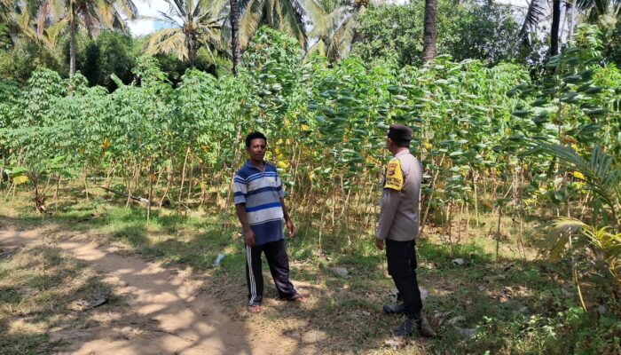 Polsek Sekotong Ajak Warga Desa Pelangan Wujudkan Pekarangan Pangan Bergizi