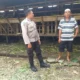 Polri Perkuat Ketahanan Pangan Desa Jagaraga Lewat Peran Aktif Bhabinkamtibmas