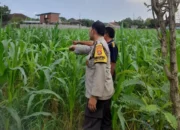 Ketahanan Pangan Dimulai dari Desa: Peran Nyata Bhabinkamtibmas di Gelogor