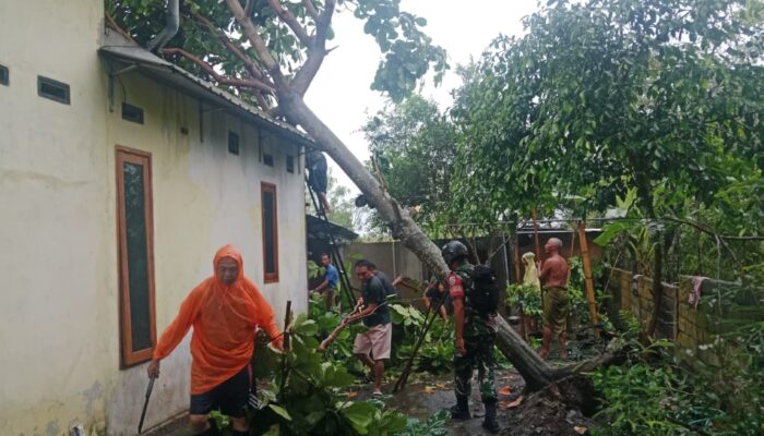 Aksi Tanggap Babinsa Jagaraga Saat Bencana Alam Melanda