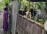 Bhabinkamtibmas Senggigi Ajak Warga Kelola Lahan Kosong Jadi Sumber Pangan