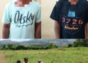 Polsek Lunyuk Berhasil Mengamankan Dua Terduga Pelaku Pencurian Hewan Ternak