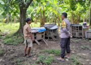 Polsek Batulayar Gencarkan Ketahanan Pangan, Dorong Warga Tanam Sayur