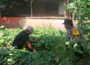 Bhabinkamtibmas Desa Mantun Dampingi Warga Kelola Pekarangan Pangan Bergizi, Dorong Kemandirian Pangan Masyarakat