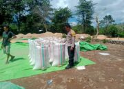 BHABINKAMTIBMAS DESA WOKO PANTAU AKTIVITAS WARGA BINAAN SAAT MENJUAL HASIL PANEN JAGUNG