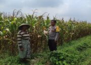 Bhabinkamtibmas dan Kades Sinergi Kuatkan Ketahanan Pangan Desa