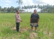 Bhabinkamtibmas Gerung Ajak Warga Manfaatkan Lahan Kosong