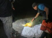 Polres Loteng Selidiki Kasus Penemuan Bayi Tidak Utuh di Praya Barat