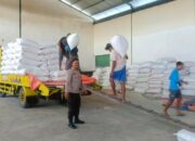 Jagung Petani Lombok Barat Lolos Uji Kualitas BULOG: Kadar Air Ideal