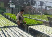 Bhabinkamtibmas Labuapi Ajak Warga Tanam di Pekarangan