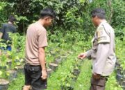 Polsek Batulayar Perkuat Ketahanan Pangan di Lombok Barat