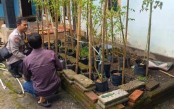 Cara Warga Desa Perampuan Lombok Barat Wujudkan Swasembada Pangan