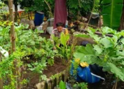 Bhabinkamtibmas Lombok Barat Tinjau Greenhouse Bambu di Perampuan