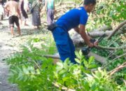 Personel Ditpolairud Polda NTB Bantu Warga Singkirkan Pohon Tumbang di Lombok Barat