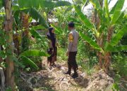 Bhabinkamtibmas Desa Pamanto Motivasi Warga Wujudkan Ketahanan Pangan Mandiri