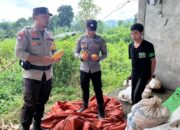 Pantau Pertumbuhan Jagung Warga Binaan, Bhabinkamtibmas Polsek Sanggar Dukung Program Ketahanan Pangan Nasional