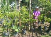 Polsek Batulayar Dorong Warga Manfaatkan Lahan Pekarangan