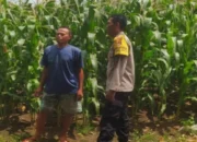 Polsek Sekotong Kawal Ketahanan Pangan di Desa Batu Putih