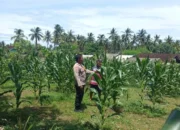 Polsek Sekotong Dorong Warga Manfaatkan Pekarangan