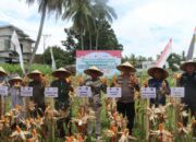 Polres Loteng Ikuti Panen Raya Jagung Serentak Kuartal IV Tahun 2025