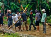 Batang Kelapa Jadi Harapan Warga Kambeng Timur