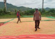 Pantau Penjemuran Jagung Warga, Polsek woja Dukung Ketahanan Pangan Menuju Indonesia Emas 2045