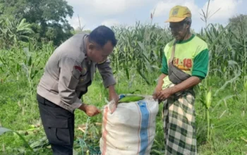 Kawal Ketahanan Pangan Nasional, Personel Polsek Labuapi Dampingi Petani Bagik Polak Barat di Sawah
