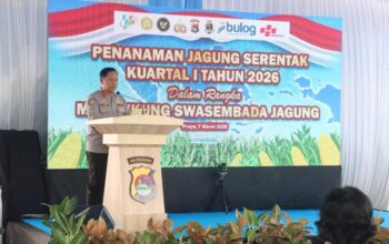 Kapolda NTB Pimpin Penanaman Jagung Serentak di Loteng, Dukung Swasembada Pangan 2026. ‎