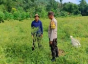 Polsek Gerung Edukasi Pertanian Mandiri di Desa Kebon Ayu