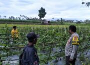 Bhabinkamtibmas Tanak Gadang Cek Lahan P2B, Dukung Program Swasembada Pangan