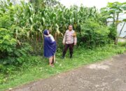 Humanis dan Produktif, Bhabinkamtibmas Kampasi Meci Kawal Ketahanan Pangan