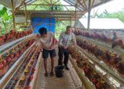 Bhabinkamtibmas Korleko Selatan Sambangi Kandang Ayam Bumdes, Pastikan Program Ketahanan Pangan Berjalan Baik