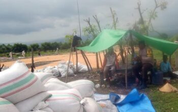 Polri Dukung Ketahanan Pangan, Bhabinkamtibmas Dampingi Petani Jagung dari Masa Tanam hingga Distribusi