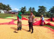 Polri Hadir di Tengah Petani, Jagung Dompu Siap Masuk Bulog
