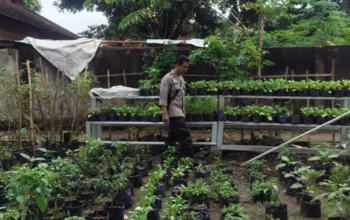 Polri Perkuat Ketahanan Pangan Warga Desa Bengkel Lombok Barat