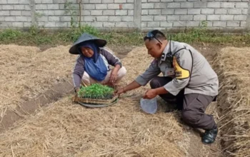 Polres Lobar Perkuat Ketahanan Pangan di Desa Merembu Labuapi