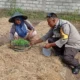 Transformasi Peran Polri, Kawal Ketahanan Pangan Nasional dari Hulu Hingga Hilir di Lombok Barat