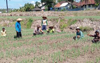 Bhabinkamtibmas Desa Wanasaba Lakukan Sambang dan Sosialisasi Program Pemerintah