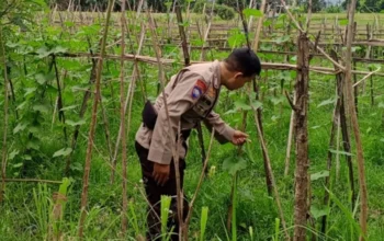 Polri Kawal Program Ketahanan Pangan di Desa Terong Tawah