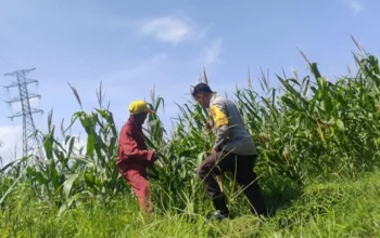 Sinergi Polri dan Petani, Kunci Utama Wujudkan Kedaulatan Pangan Berkelanjutan di Lombok Barat