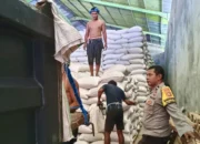 Langkah Nyata Polsek Lembar Dukung Ketahanan Pangan, Dampingi Penyerapan Jagung oleh Bulog