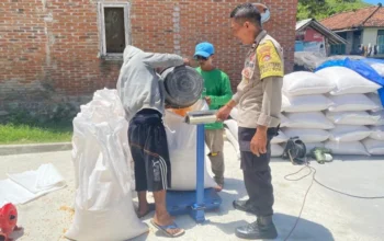 Langkah Nyata Polsek Sekotong: Bhabinkamtibmas Turun Langsung Amankan Hasil Panen Jagung Warga