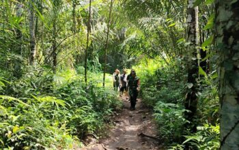 Menyusuri Hutan, Babinsa Perkenalkan Surga Tersembunyi Ampan Tepong